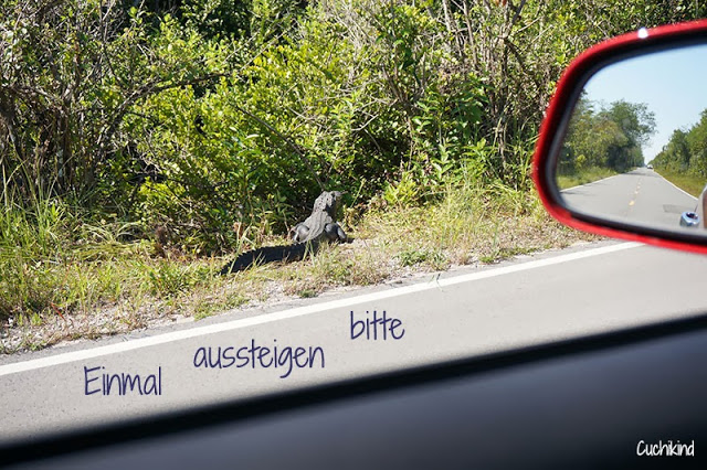 Ausflüge in Florida
