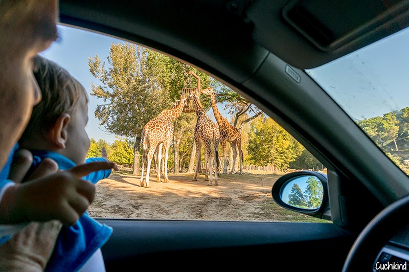 Safaripark Gardasee
