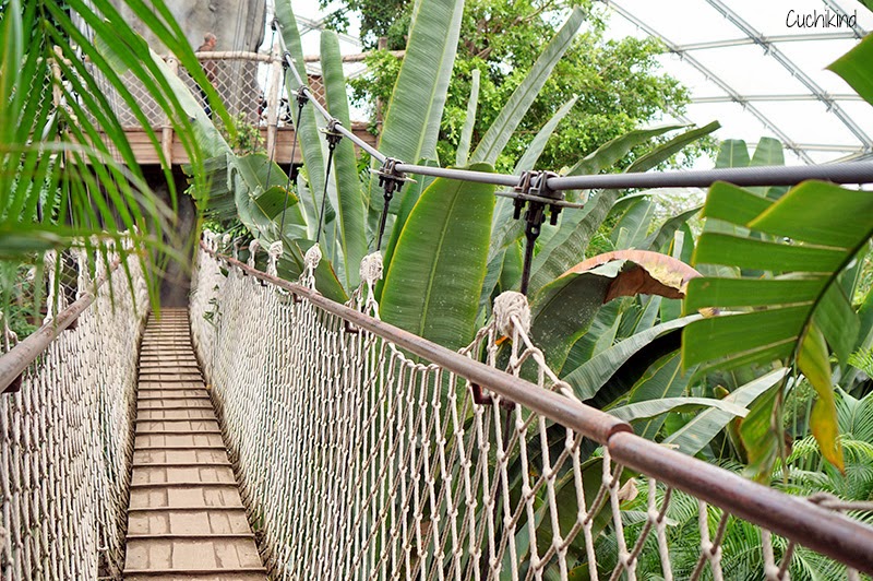 Zoo in Leipzig