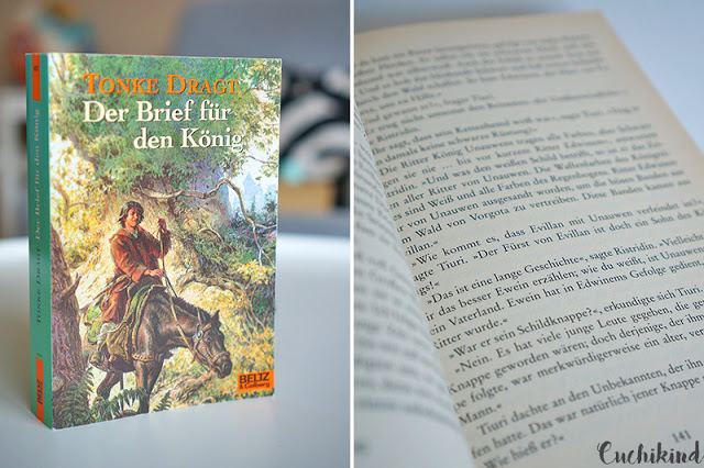 Der Brief für den König von Tonne Dragt