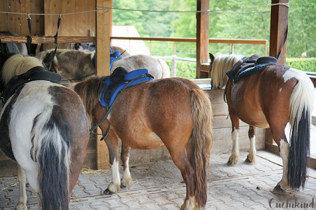 Ponyreiten Lochmühle