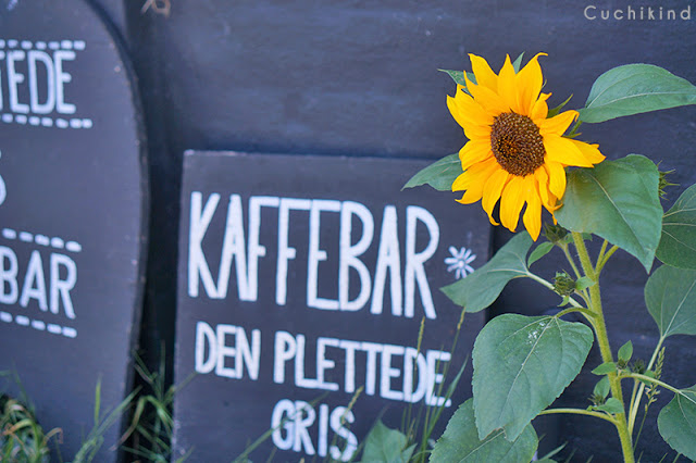 Papiroen Kopenhagen