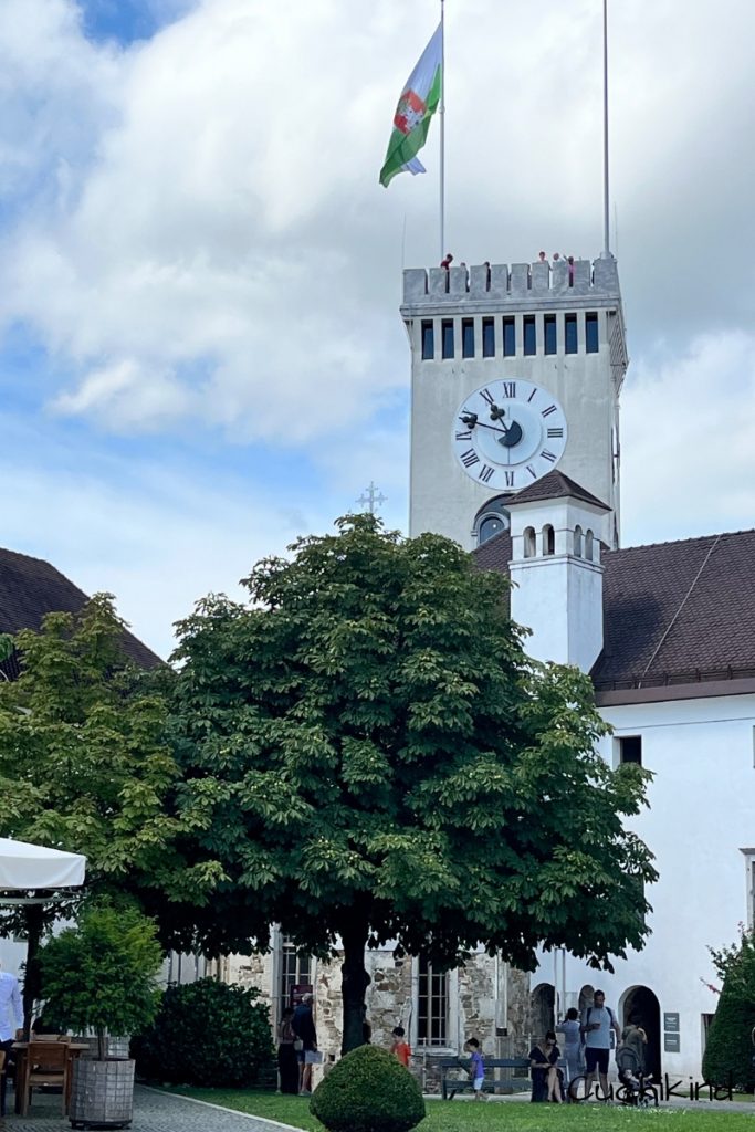 Burg Slowenien