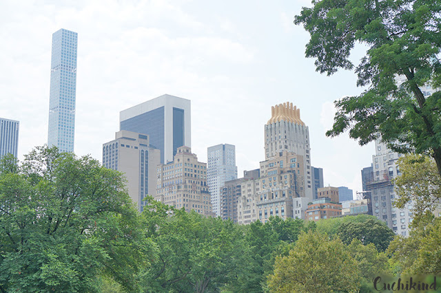 Central park New York