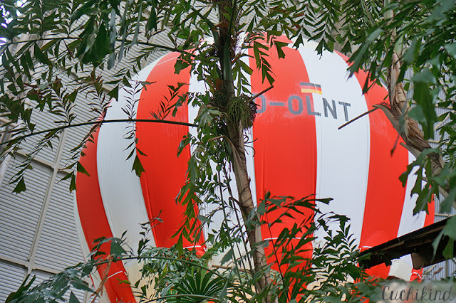 Ballonfahrt im Tropical Islands