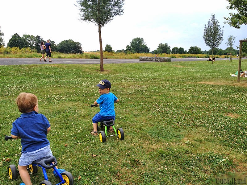 Top 10 Frankfurt mit Kindern Alter Flugplatz Bonames