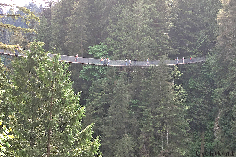suspension bridge vancouver