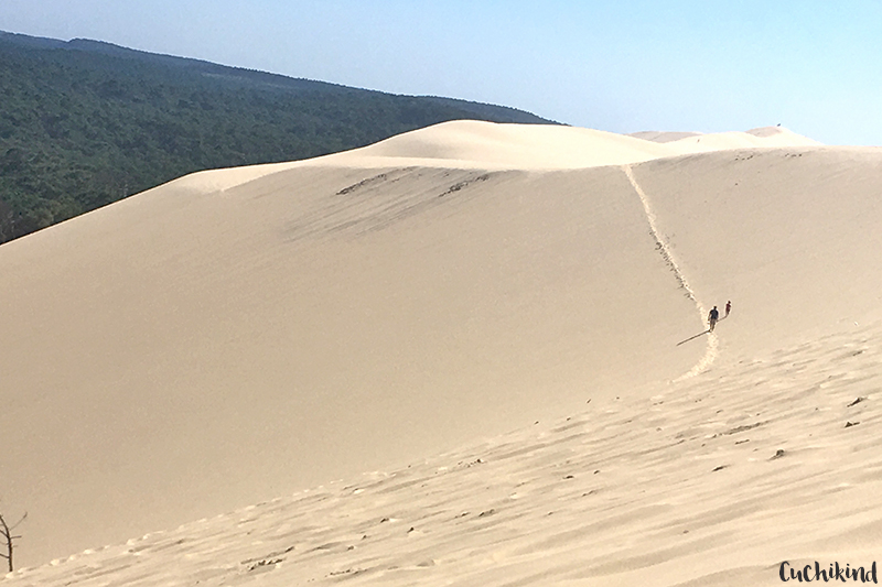 größte_Düne_europas