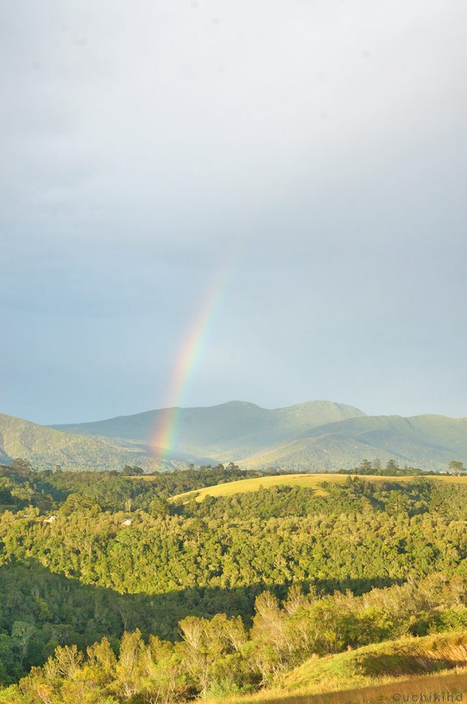 regenbogen_Südafrika